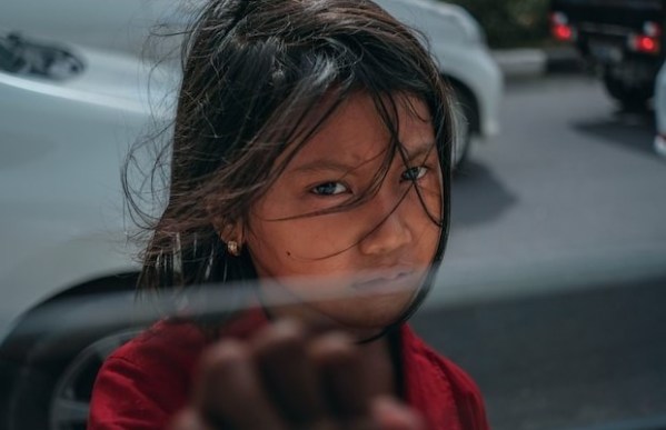 Ucenica Zivota - Naučeni programi