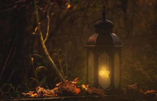 Ucenica Zivota - Kada se tama povuče s onoga što skriva