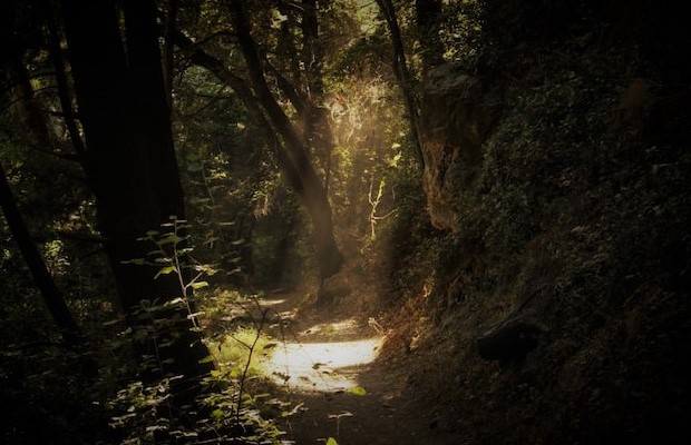 Ucenica Zivota - Povjerenje u život