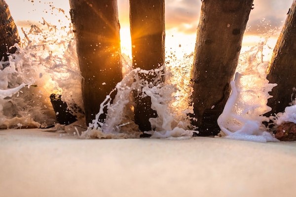 Ucenica zivota - Bijes i razum