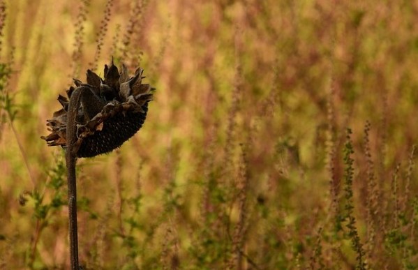 Ucenica Zivota - U jednom trenutku sam svjesno vidjela i shvatila da sam ista kao moja mama, obični psihički nasilnik